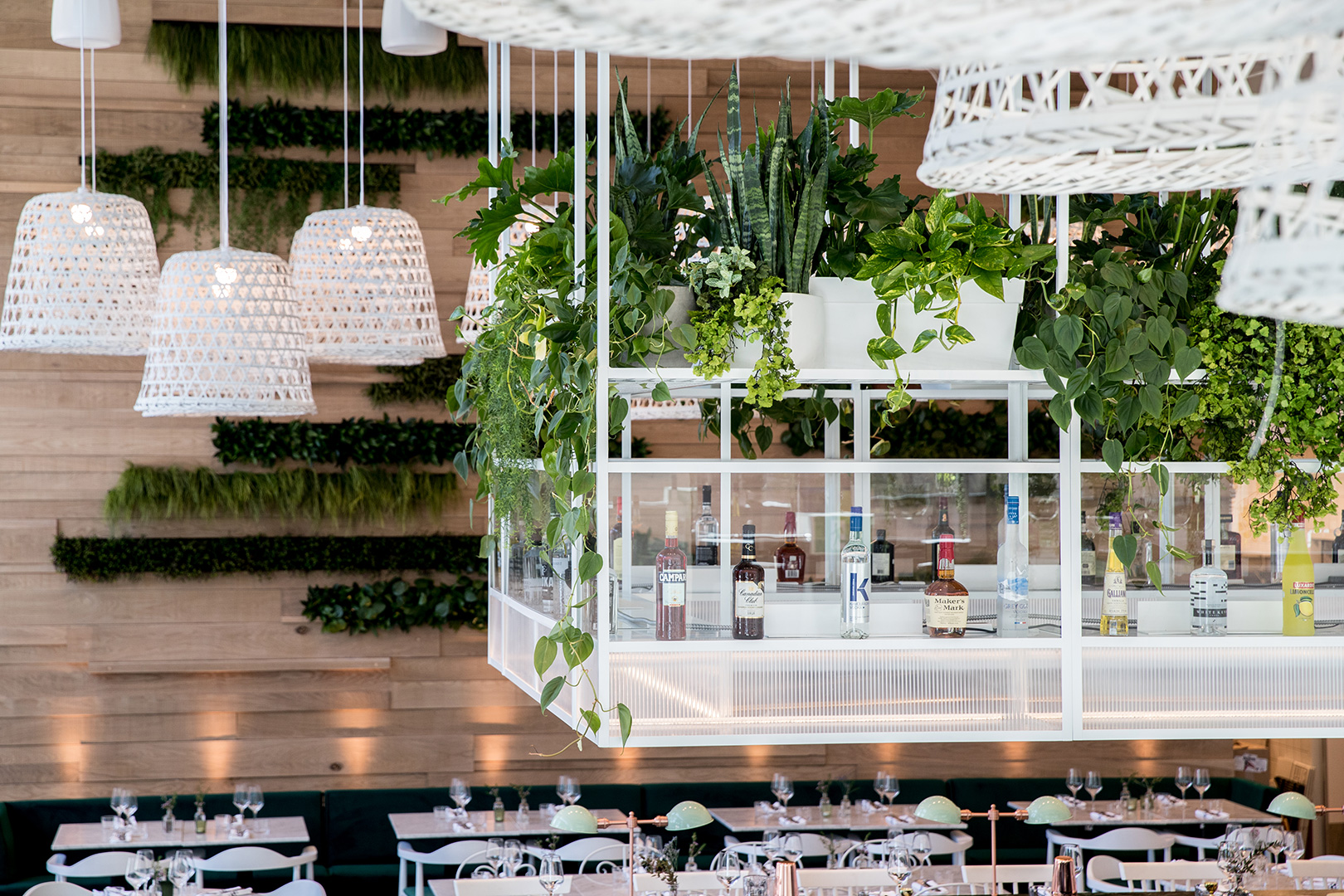 LOV CEntropolis' interior decor suspended plants